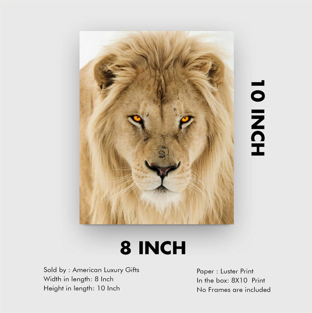 Majestic King of the Jungle-Ferocious Lion Photo Print - 8 x 10 Wall Art- Ready to Frame- Home-Office Decor &amp; Wall Prints for Animal, Safari &amp; Jungle Themes. Great Gift for Big Cat &amp; Safari Lovers.