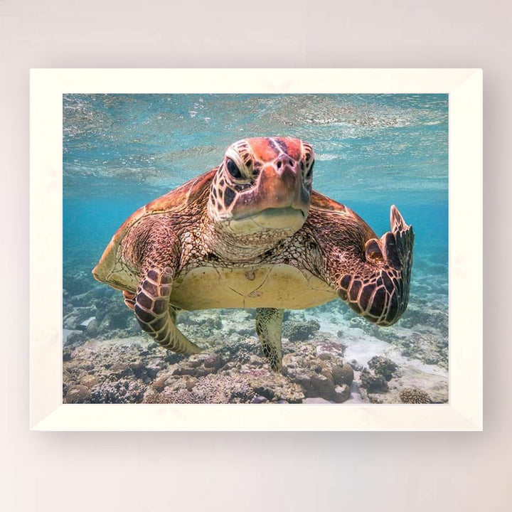 Sea Turtle Swimming In Ocean-Coral Reef -10x8" Colorful Marine Wall Art Print-Ready to Frame. Beach Decor for Home-Office-Studio-Beach House. Perfect for Coastal &amp; Nautical Themes! Great Gift!