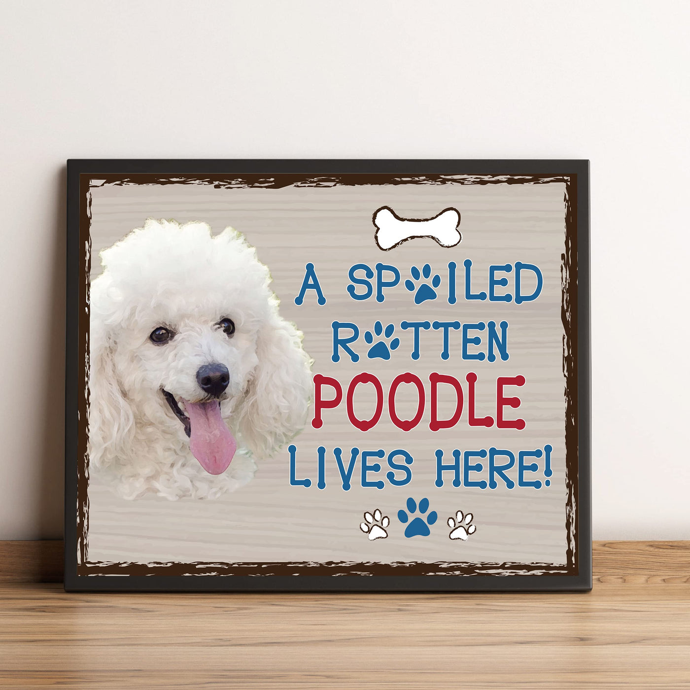 Poodle-Dog Poster Print-10 x 8" Wall Decor Sign-Ready To Frame."A Spoiled Rotten Poodle Lives Here". Perfect Pet Wall Art for Home-Kitchen-Cave-Bar-Garage. Great Gift for All Poodle Owners.