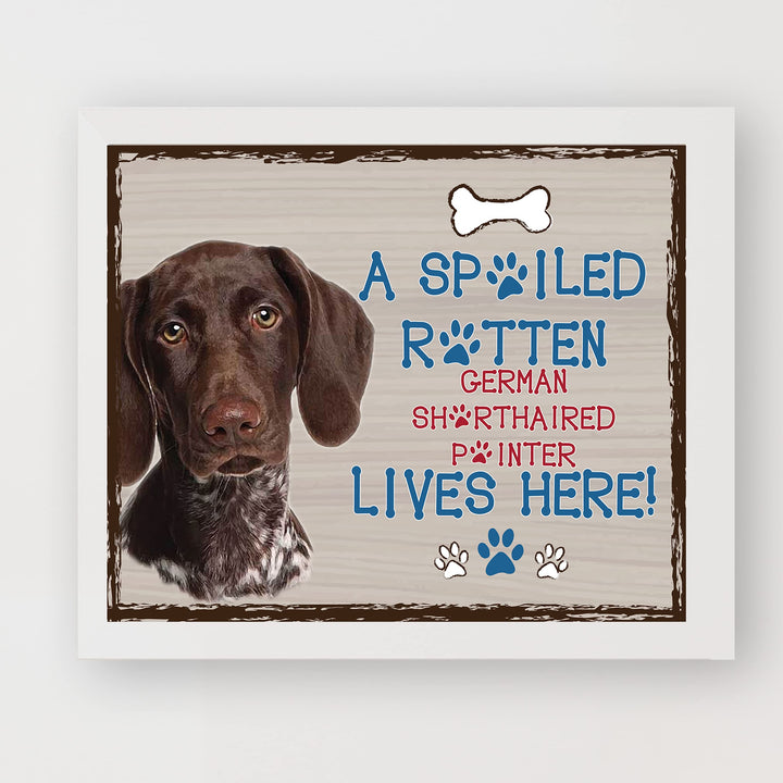 German Pointer-Dog Poster Print-10 x 8" Wall Decor Sign-Ready To Frame."A Spoiled Rotten German Shorthair Pointer Lives Here". Perfect Pet Wall Art for Home-Kitchen-Cave-Bar-Garage. Great Gift!