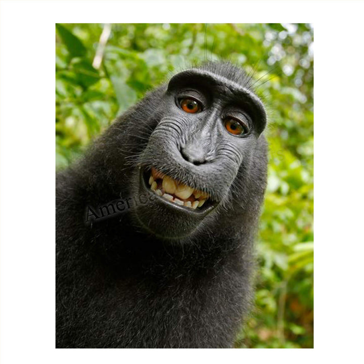Smiling Monkey Selfie- 8 x 10" Print Wall Art- Ready to Frame- Home D?cor, Nursery D?cor &amp; Wall Prints for Animal Themes &amp; Children&