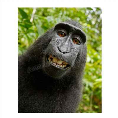 Smiling Monkey Selfie- 8 x 10" Print Wall Art- Ready to Frame- Home D?cor, Nursery D?cor & Wall Prints for Animal Themes & Children's Bedroom Wall Decor. Just Too Cute!