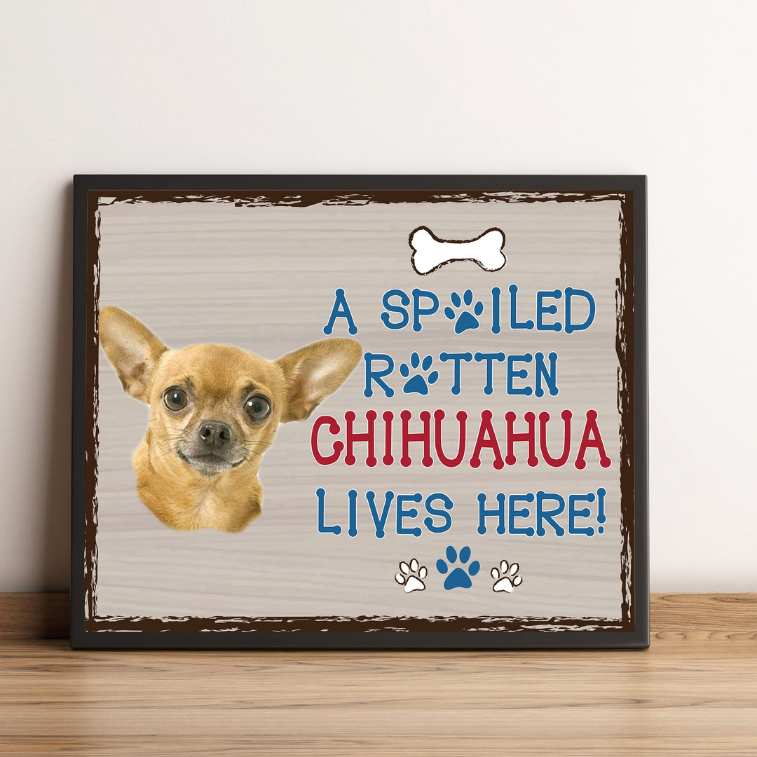 Chihuahua-Dog Poster Print-10 x 8" Wall Decor Sign-Ready To Frame."A Spoiled Rotten Chihuahua Lives Here". Perfect Pet Wall Art for Home-Kitchen-Cave-Garage. Great Gift for Chihuahua Owners!