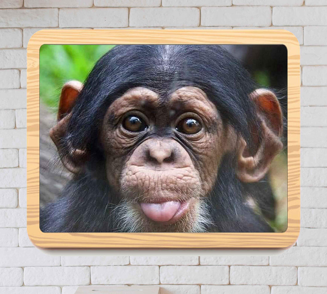 Baby Chimp w/Funny Face- 10 x 8" Photographic Wall Art Print- Ready to Frame. Home-Nursery-Party Decor. Perfect for Zoo Themes &amp; Children&