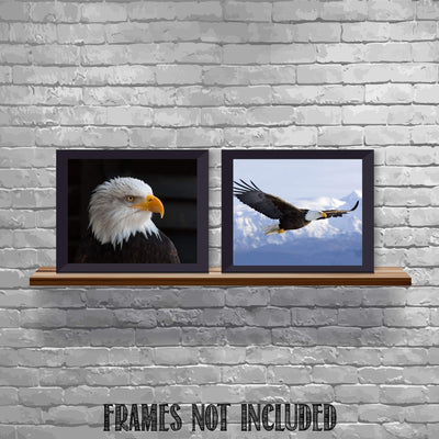 American Eagle- 2 Print Set- 8 x 10's Wall Art- Ready to Frame- Home D?cor, Office D?cor & Wall Prints for Animal & Patriotic Theme Wall Decor. Majestic & Fearless Eagle Profile & Soaring in Flight.