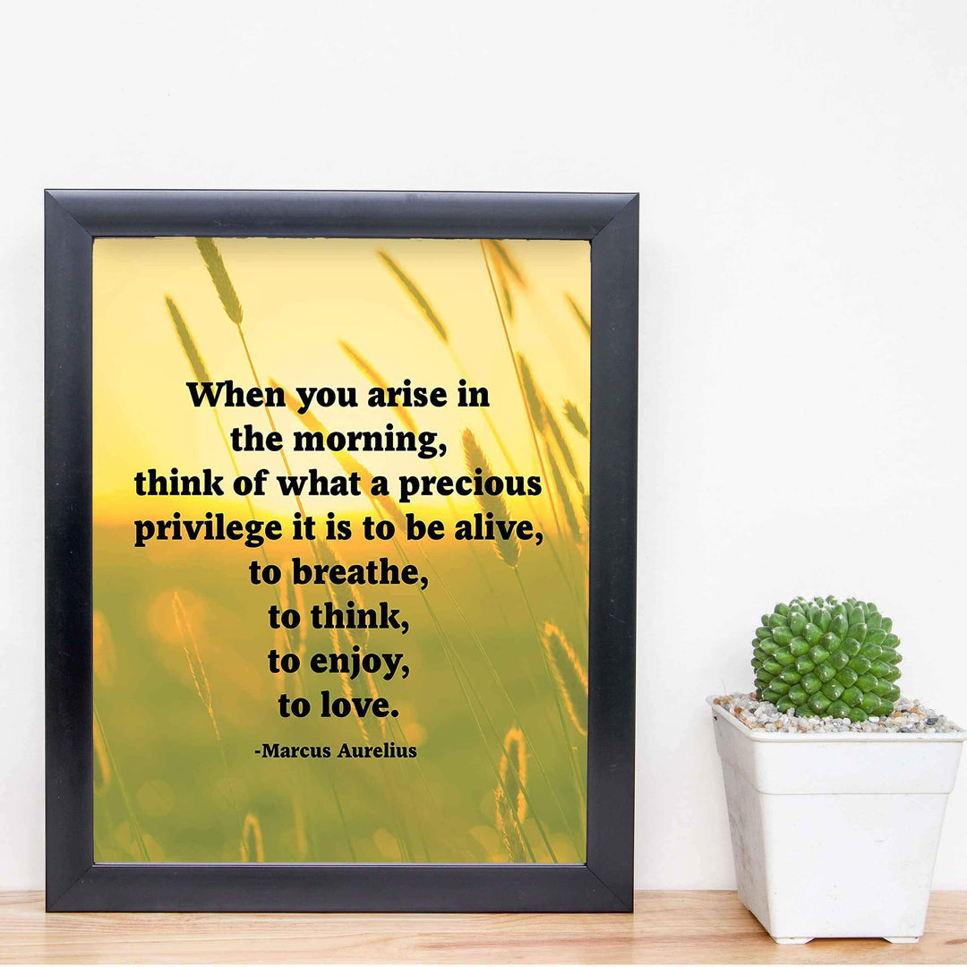Marcus Aurelius Quotes-"When You Arise in the Morning"-Inspirational Wall Art -8 x 10" Sunset Meadow Print-Ready to Frame. Perfect Home-Office-Classroom-Dorm Decor. Great Philosophical Quote!