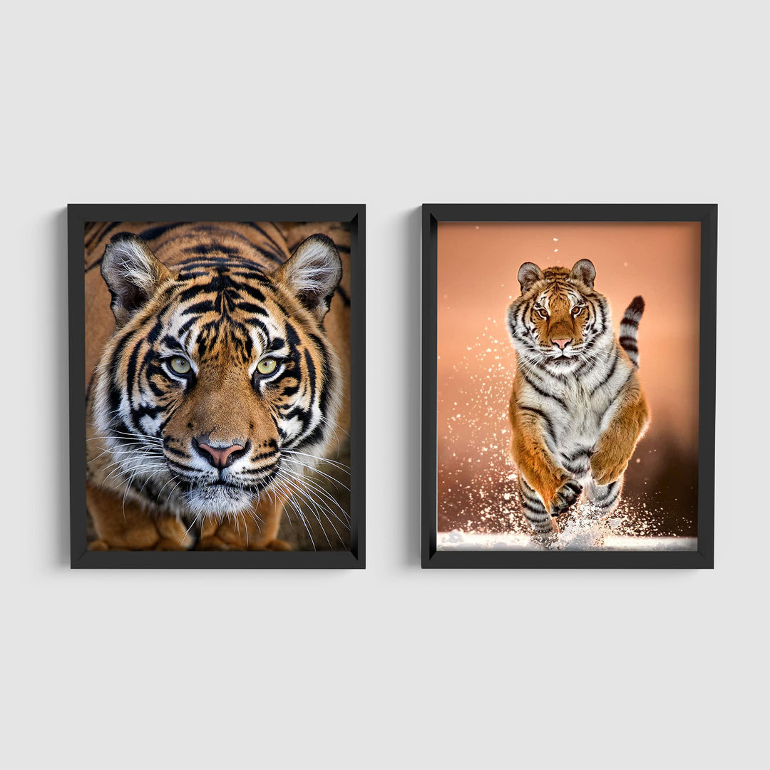 Majestic Tiger Set- 2 Piece-8 x 10&