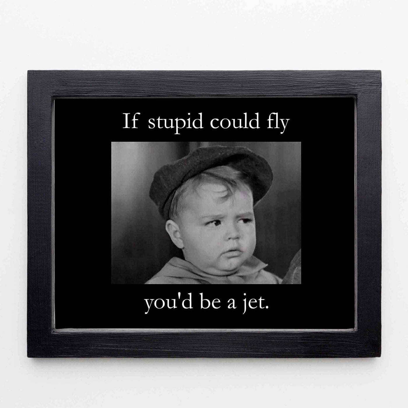 If Stupid Could Fly-You'd Be A Jet Funny Quotes Wall Art Sign -10x8" Sarcastic Poster Print-Ready to Frame. Humorous Home-Studio-Office-Desk-Cave Decor. Perfect Novelty Sign. Great Gift of Sarcasm!