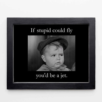 If Stupid Could Fly-You'd Be A Jet Funny Quotes Wall Art Sign -10x8" Sarcastic Poster Print-Ready to Frame. Humorous Home-Studio-Office-Desk-Cave Decor. Perfect Novelty Sign. Great Gift of Sarcasm!