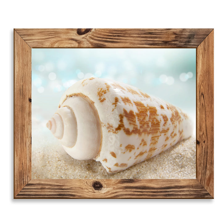 Seashell on the Shore- Beach Wall Art Decor -10 x 8" Sea Shell in the Sand Photo Print -Ready to Frame. Ocean &amp; Coastal Themed Decor for Home-Office-Studio-Beach House. Great Nautical Gift!