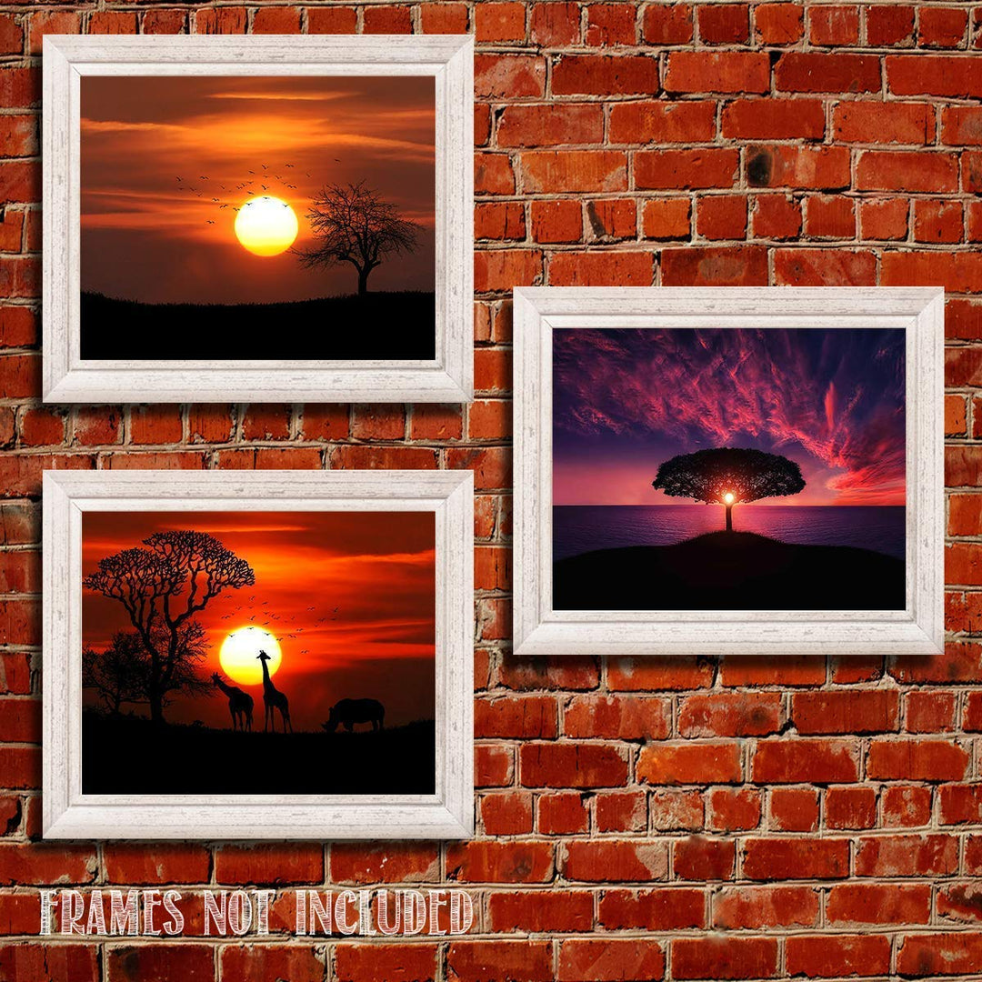 Safari Sunsets- 3 Image Set- 8 x 10&
