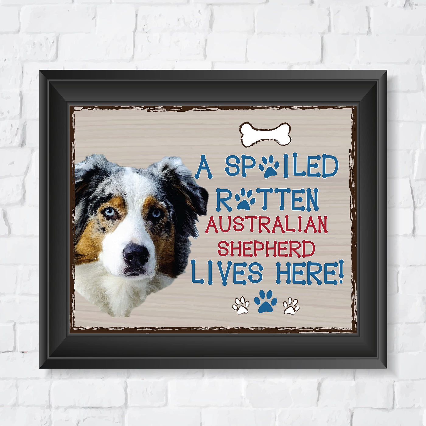 Australian Shepherd-Dog Poster Print-10 x 8" Wall Decor Sign-Ready To Frame."A Spoiled Rotten Australian Shepherd Lives Here". Perfect Pet Wall Art for Home-Kitchen-Cave-Garage. Gift for Aussie Fans!