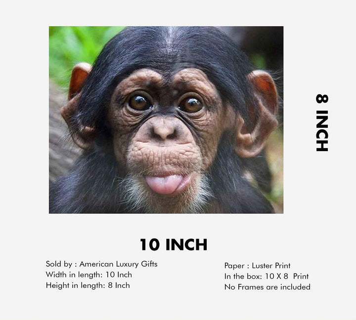 Baby Chimp w/Funny Face- 10 x 8" Photographic Wall Art Print- Ready to Frame. Home-Nursery-Party Decor. Perfect for Zoo Themes &amp; Children&
