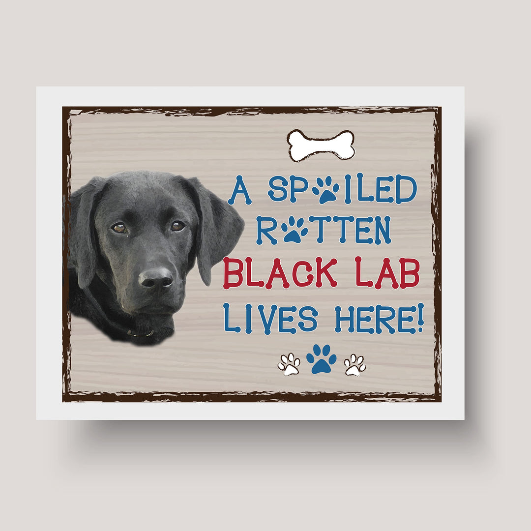 Black Lab-Dog Poster Print-10 x 8" Wall Decor Sign-Ready To Frame."A Spoiled Rotten Black Lab Lives Here". Perfect Pet Wall Art for Home-Kitchen-Cave-Bar-Garage. Great Gift for Labrador Lovers.