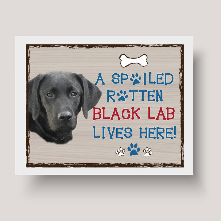 Black Lab-Dog Poster Print-10 x 8" Wall Decor Sign-Ready To Frame."A Spoiled Rotten Black Lab Lives Here". Perfect Pet Wall Art for Home-Kitchen-Cave-Bar-Garage. Great Gift for Labrador Lovers.