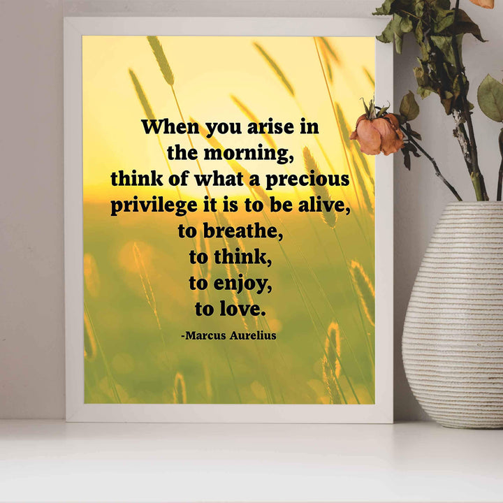 Marcus Aurelius Quotes-"When You Arise in the Morning"-Inspirational Wall Art -8 x 10" Sunset Meadow Print-Ready to Frame. Perfect Home-Office-Classroom-Dorm Decor. Great Philosophical Quote!
