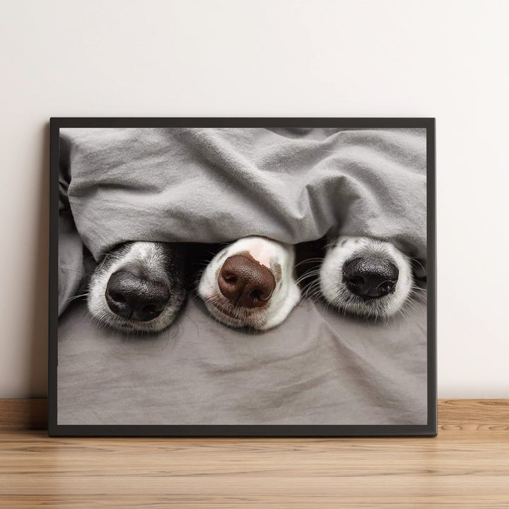 Adorable Puppy Noses Peeking Out- Funny Dog Nose Wall Art- 10 x 8" Inspirational Pet Lovers Picture Print -Ready to Frame. Home, Pet Shop, Nursery, Vet&