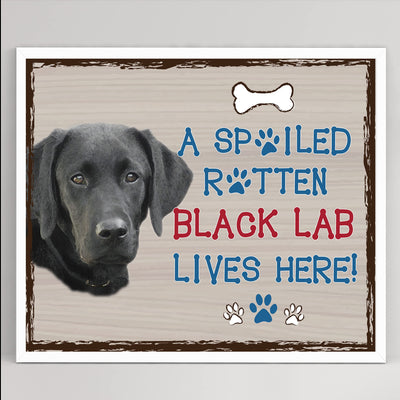 Black Lab-Dog Poster Print-10 x 8" Wall Decor Sign-Ready To Frame."A Spoiled Rotten Black Lab Lives Here". Perfect Pet Wall Art for Home-Kitchen-Cave-Bar-Garage. Great Gift for Labrador Lovers.