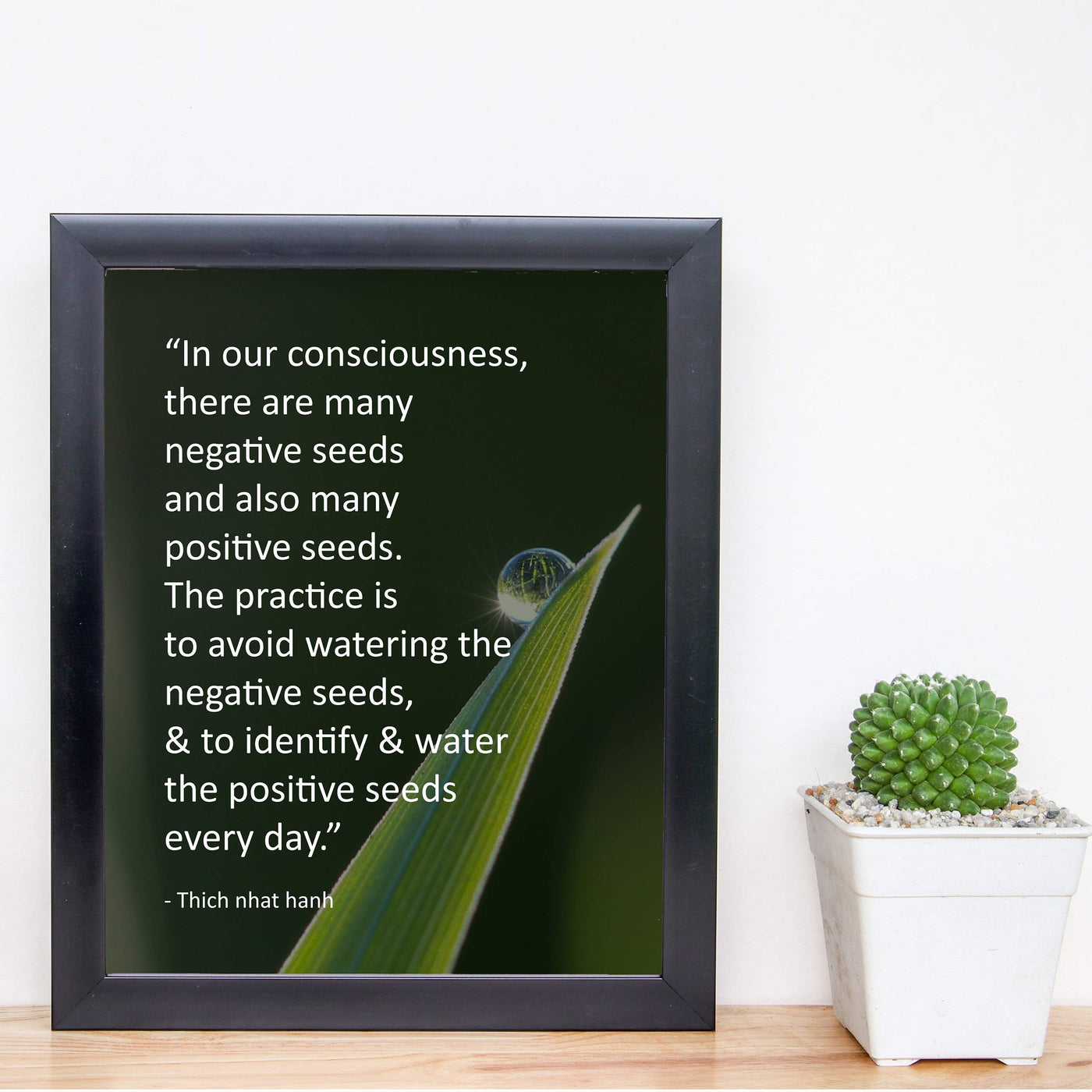 Identify and Water the Positive Seeds Every Day -Thich Nhat Hanh Mindfulness Quotes -8 x 10" Spiritual Wall Art Print-Ready to Frame. Home-Office-Studio-Meditation-Zen Decor. Great Reminder!