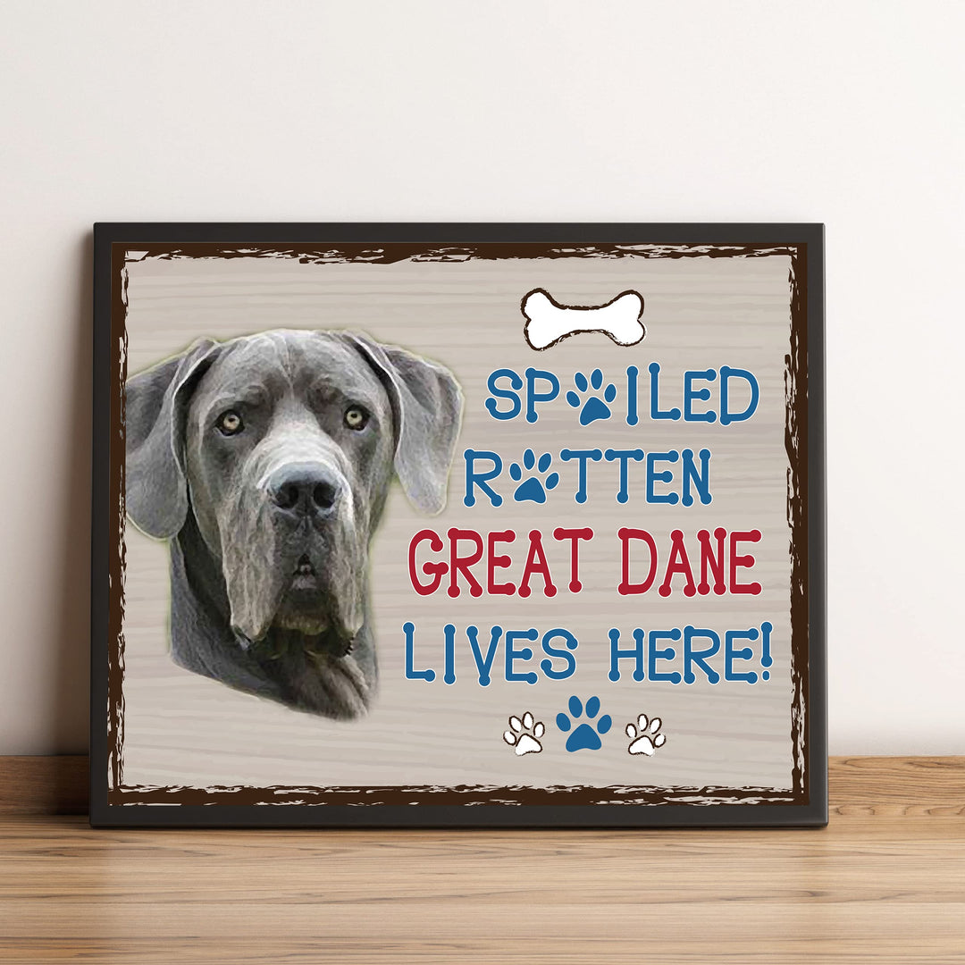 Great Dane-Dog Poster Print-10 x 8" Wall Decor Sign-Ready To Frame."A Spoiled Rotten Great Dane Lives Here". Perfect Pet Wall Art for Home-Kitchen-Cave-Bar-Garage. Great Gift for Great Dane Owners!