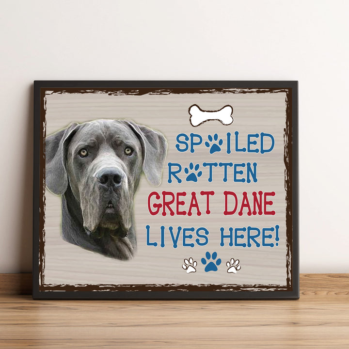 Great Dane-Dog Poster Print-10 x 8" Wall Decor Sign-Ready To Frame."A Spoiled Rotten Great Dane Lives Here". Perfect Pet Wall Art for Home-Kitchen-Cave-Bar-Garage. Great Gift for Great Dane Owners!