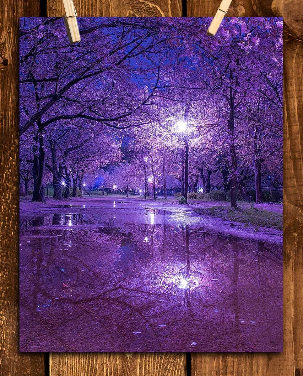 Purple Blossoms Rainy Reflections By Street Light - 8 x 10" Print Wall Art- Ready to Frame. Home D?cor, Office D?cor &amp; Wall Print. Rainy Night Reflections Makes Great Gift for Purple Flower Lovers.