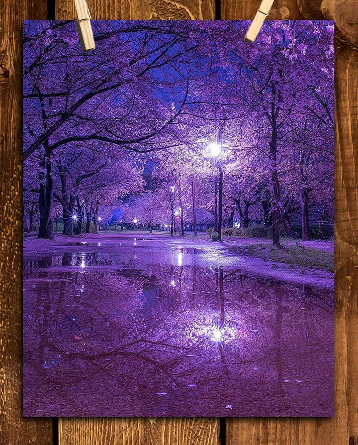 Purple Blossoms Rainy Reflections By Street Light - 8 x 10" Print Wall Art- Ready to Frame. Home D?cor, Office D?cor &amp; Wall Print. Rainy Night Reflections Makes Great Gift for Purple Flower Lovers.