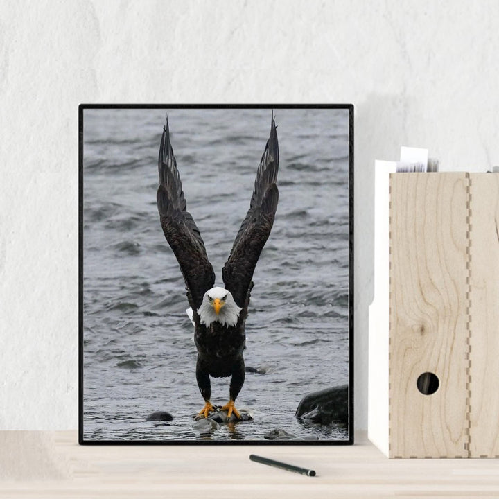 Fierce Bald Eagle at the Beach Motivational American Wall Art -8 x 10" Patriotic Eagle Photo Print-Ready to Frame. Inspirational Home-Office-School-Cave Decor. Great for Animal &amp; Political Themes!