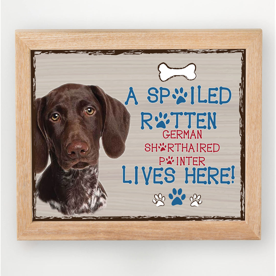 German Pointer-Dog Poster Print-10 x 8" Wall Decor Sign-Ready To Frame."A Spoiled Rotten German Shorthair Pointer Lives Here". Perfect Pet Wall Art for Home-Kitchen-Cave-Bar-Garage. Great Gift!