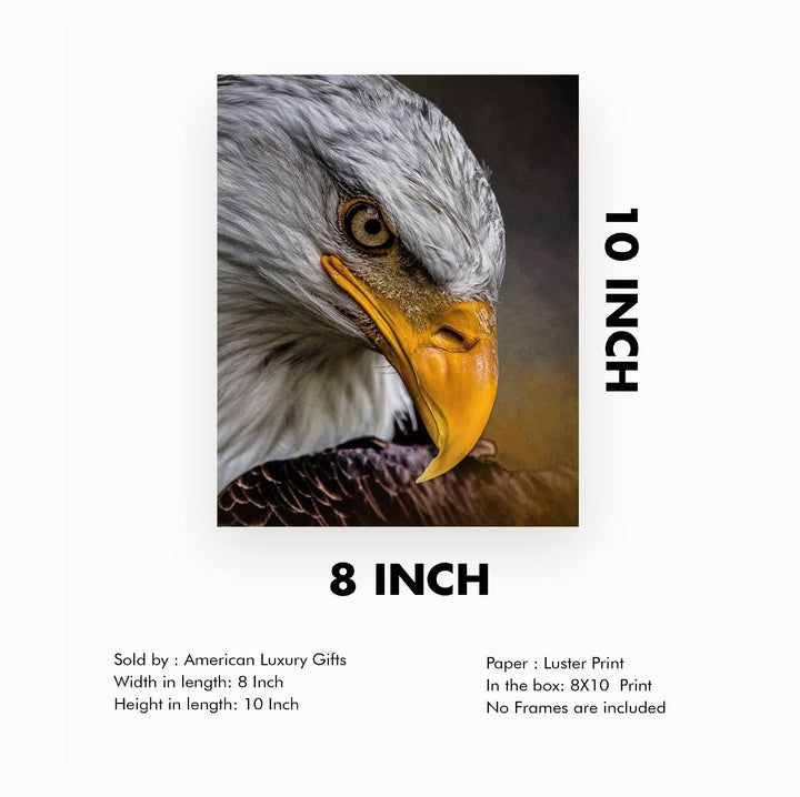 Majestic Bald Eagle Motivational American Wall Art -8 x 10" Patriotic Eagle Photo Print-Ready to Frame. Inspirational Home-Office-School-Cave Decor. Great for Animal &amp; Political Theme Wall Decor!