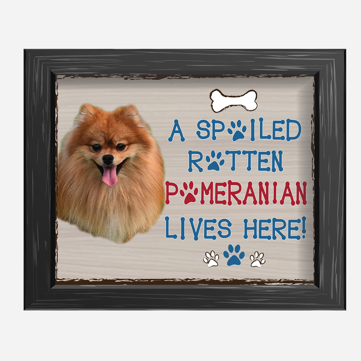 Pomeranian-Dog Poster Print-10 x 8" Wall Decor Sign-Ready To Frame."A Spoiled Rotten Pomeranian Lives Here". Perfect Pet Wall Art for Home-Kitchen-Cave-Garage. Great Gift for Pomeranian Owners!