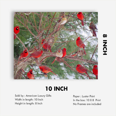 A Radiance of Cardinals-Inspirational Wall Art Decor -10 x 8" Winter Print w/Red Cardinal Bird Images In Tree-Ready to Frame. Home-Office-Holiday-Memorial Decor. Perfect Gift for Loved Ones!