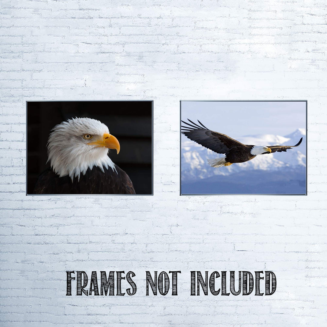 American Eagle- 2 Print Set- 8 x 10&