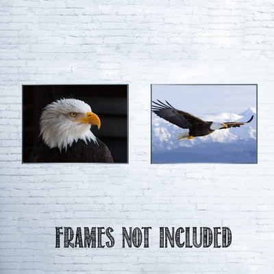 American Eagle- 2 Print Set- 8 x 10's Wall Art- Ready to Frame- Home D?cor, Office D?cor & Wall Prints for Animal & Patriotic Theme Wall Decor. Majestic & Fearless Eagle Profile & Soaring in Flight.