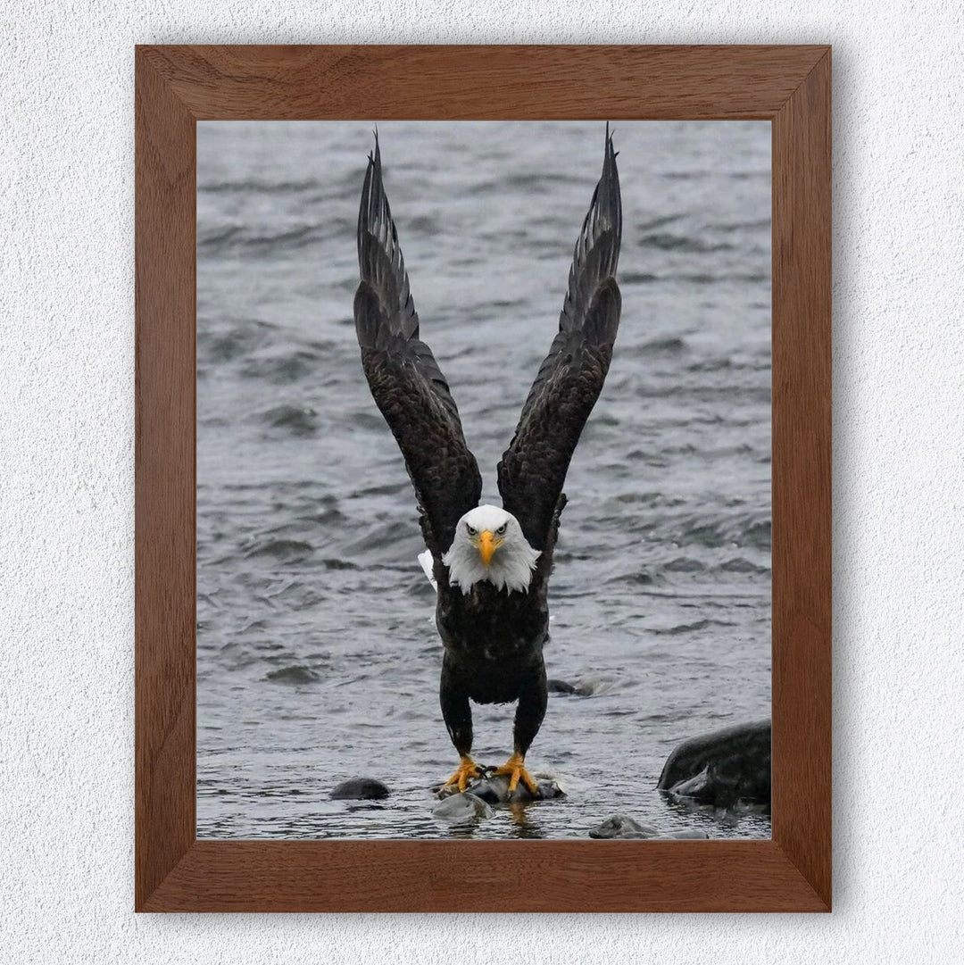Fierce Bald Eagle at the Beach Motivational American Wall Art -8 x 10" Patriotic Eagle Photo Print-Ready to Frame. Inspirational Home-Office-School-Cave Decor. Great for Animal &amp; Political Themes!