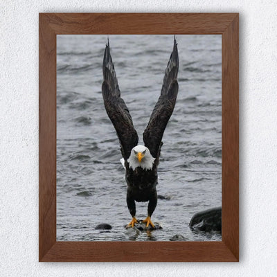 Fierce Bald Eagle at the Beach Motivational American Wall Art -8 x 10" Patriotic Eagle Photo Print-Ready to Frame. Inspirational Home-Office-School-Cave Decor. Great for Animal & Political Themes!