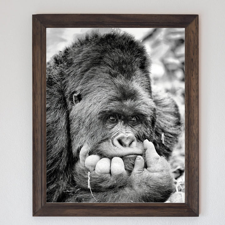 Gorilla Deep In Thought- 8 x 10" Jungle Animals Wall Art Print -Ready to Frame. Home-Office-Nursery-Zoo Pictures Decor. Wall Prints for Animal Themes &amp; Children&