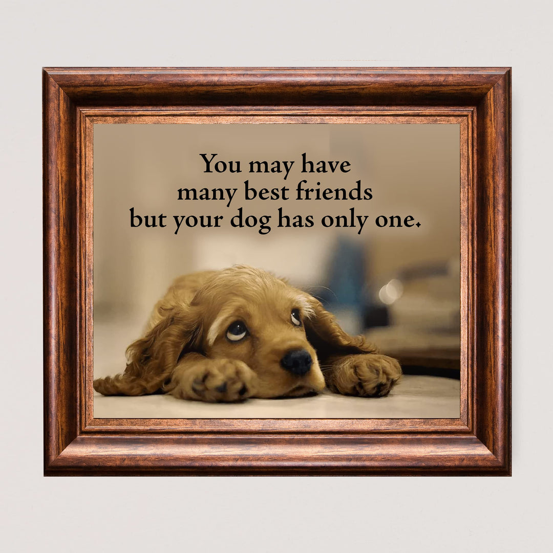 Your Dog Only Has One Best Friend Inspirational Pet Wall Art Sign -10 x 8" Cute Typographic Puppy Picture Print -Ready to Frame. Home-Vet&