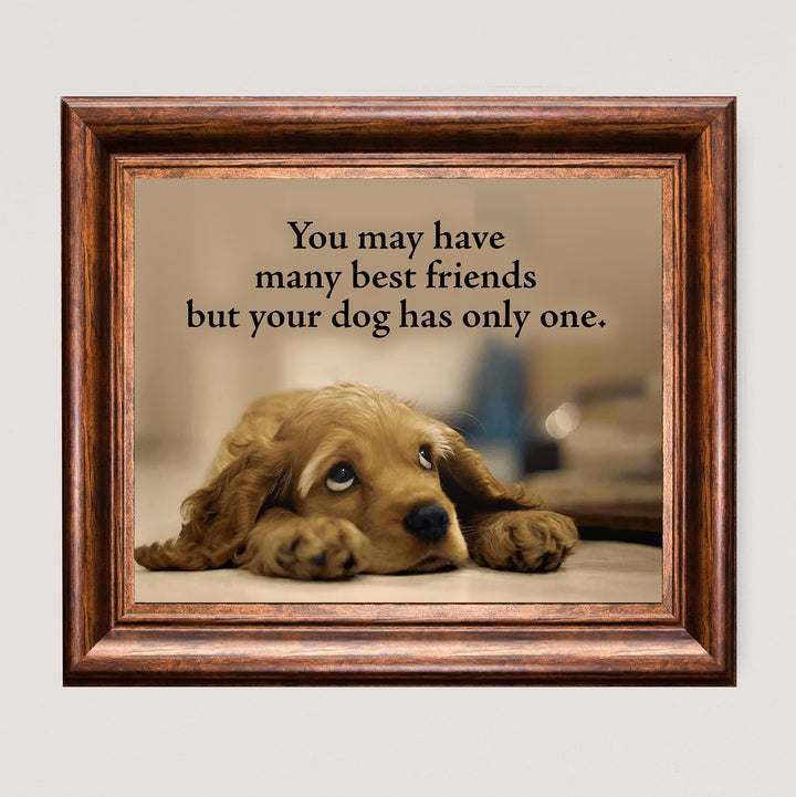 Your Dog Only Has One Best Friend Inspirational Pet Wall Art Sign -10 x 8" Cute Typographic Puppy Picture Print -Ready to Frame. Home-Vet&