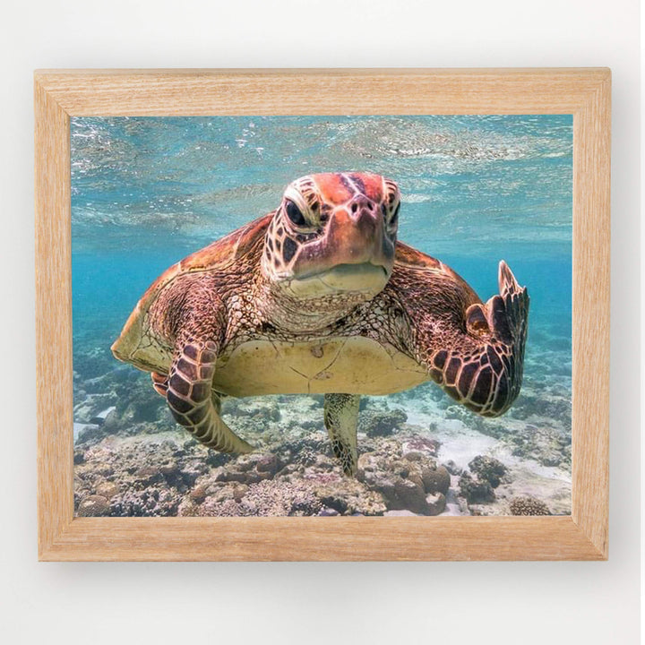 Sea Turtle Swimming In Ocean-Coral Reef -10x8" Colorful Marine Wall Art Print-Ready to Frame. Beach Decor for Home-Office-Studio-Beach House. Perfect for Coastal &amp; Nautical Themes! Great Gift!