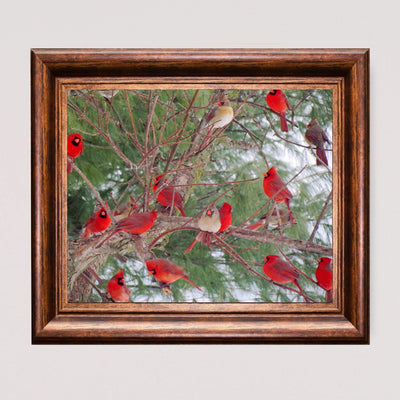 A Radiance of Cardinals-Inspirational Wall Art Decor -10 x 8" Winter Print w/Red Cardinal Bird Images In Tree-Ready to Frame. Home-Office-Holiday-Memorial Decor. Perfect Gift for Loved Ones!