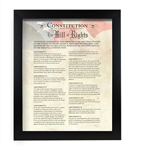 "Constitution of the USA &amp; Bill of Rights"- Patriotic Poster Print. 11 x 14"