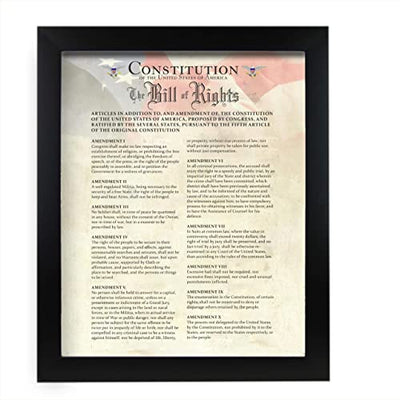 "Constitution of the USA & Bill of Rights"- Patriotic Poster Print. 11 x 14"