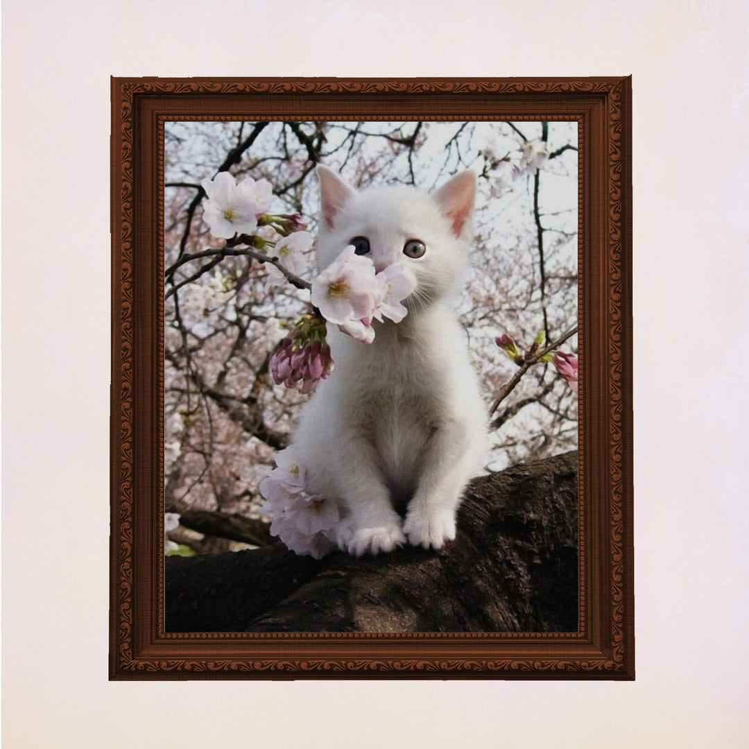 White Kitten in Tree -Inspirational Wall Art -Cute Cat in Floral Tree Photo Print- Ready to Frame. Home-Office-Teen-Girls Bedroom Decor. Perfect Animal, Pet &amp; Cats Themed Wall Decor!