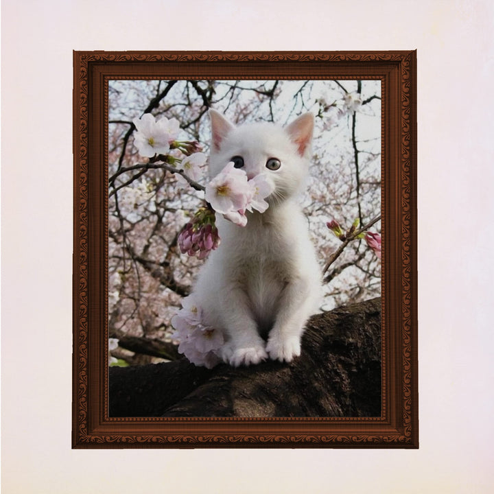 White Kitten in Tree -Inspirational Wall Art -Cute Cat in Floral Tree Photo Print- Ready to Frame. Home-Office-Teen-Girls Bedroom Decor. Perfect Animal, Pet &amp; Cats Themed Wall Decor!