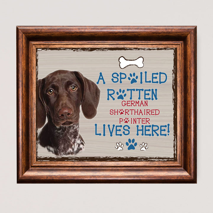 German Pointer-Dog Poster Print-10 x 8" Wall Decor Sign-Ready To Frame."A Spoiled Rotten German Shorthair Pointer Lives Here". Perfect Pet Wall Art for Home-Kitchen-Cave-Bar-Garage. Great Gift!