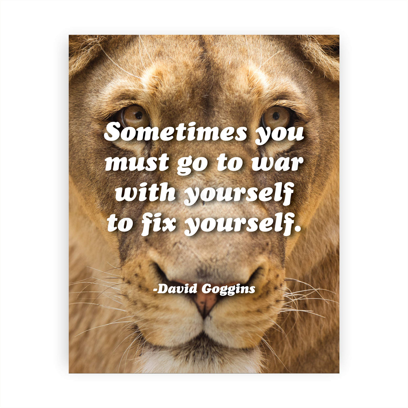 Sometimes You Must Go to War With Yourself to Fix Yourself- Motivational Quotes Wall Art -8 x 10" Lion Image Poster Print-Ready to Frame. Inspirational Home-School-Office-Gym Decor. Great Advice!