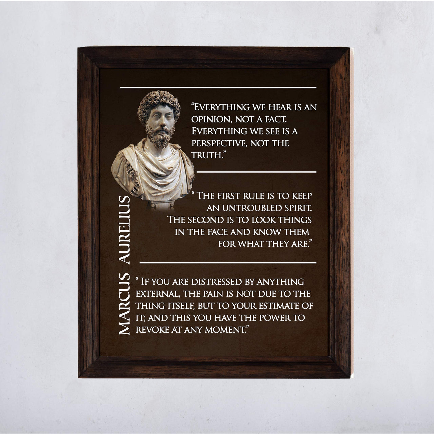 Marcus Aurelius-"First Rule Is To Keep An Untroubled Spirit"-11 x 14" Inspirational Quotes Wall Print-Ready to Frame. Old World Decor for Home-Office-Classroom-Library. Great Philosophical Quotes!