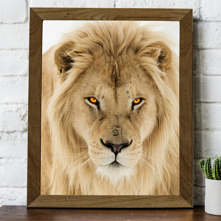 Majestic King of the Jungle-Ferocious Lion Photo Print - 8 x 10 Wall Art- Ready to Frame- Home-Office Decor &amp; Wall Prints for Animal, Safari &amp; Jungle Themes. Great Gift for Big Cat &amp; Safari Lovers.