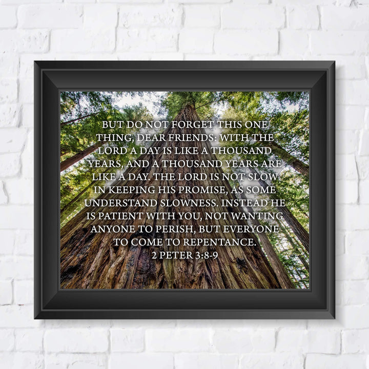 Do Not Forget This One Thing-The Lord Is Patient-2 Peter 3:8-9- Bible Verse Wall Art-10 x 8" Scripture Print on Woods Photo Print-Ready to Frame. Home-Office-Christian Decor. Great Gift of Faith!